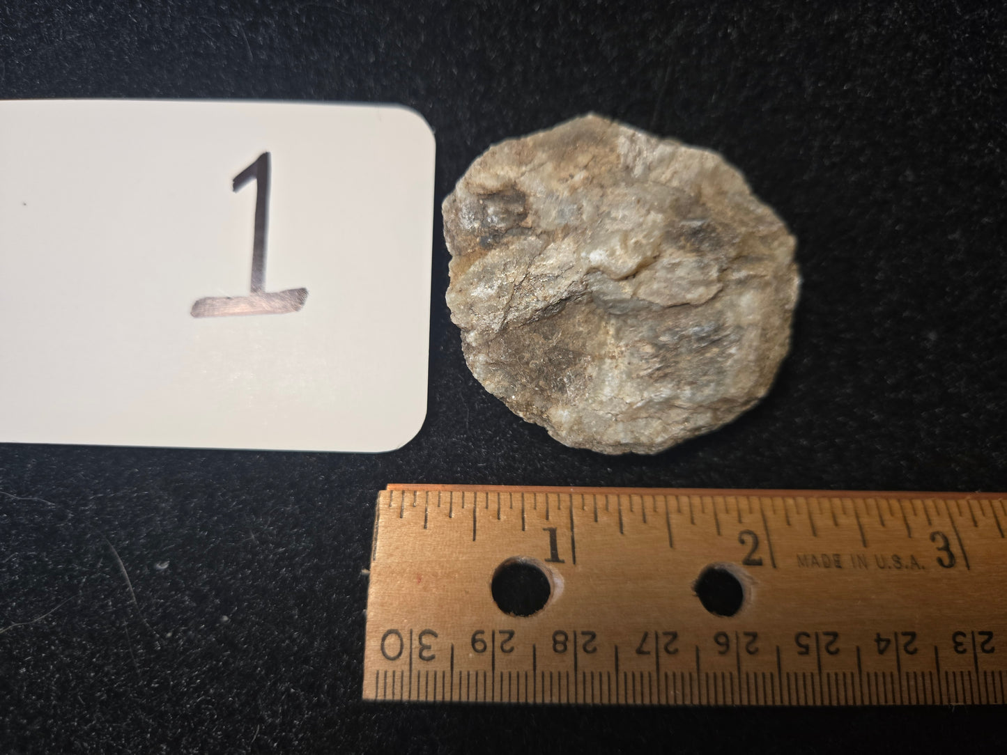Micaceous Schist with Muscovite and quartz