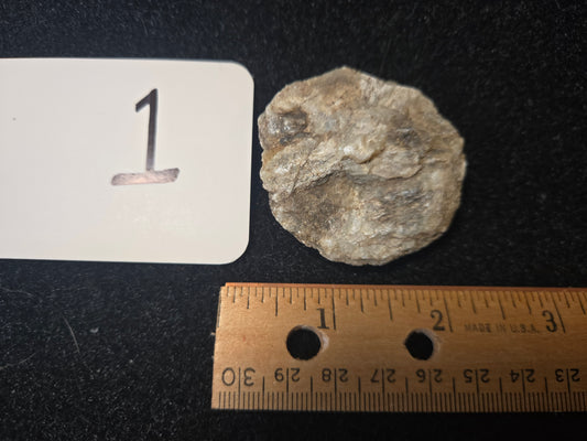 Micaceous Schist with Muscovite and quartz