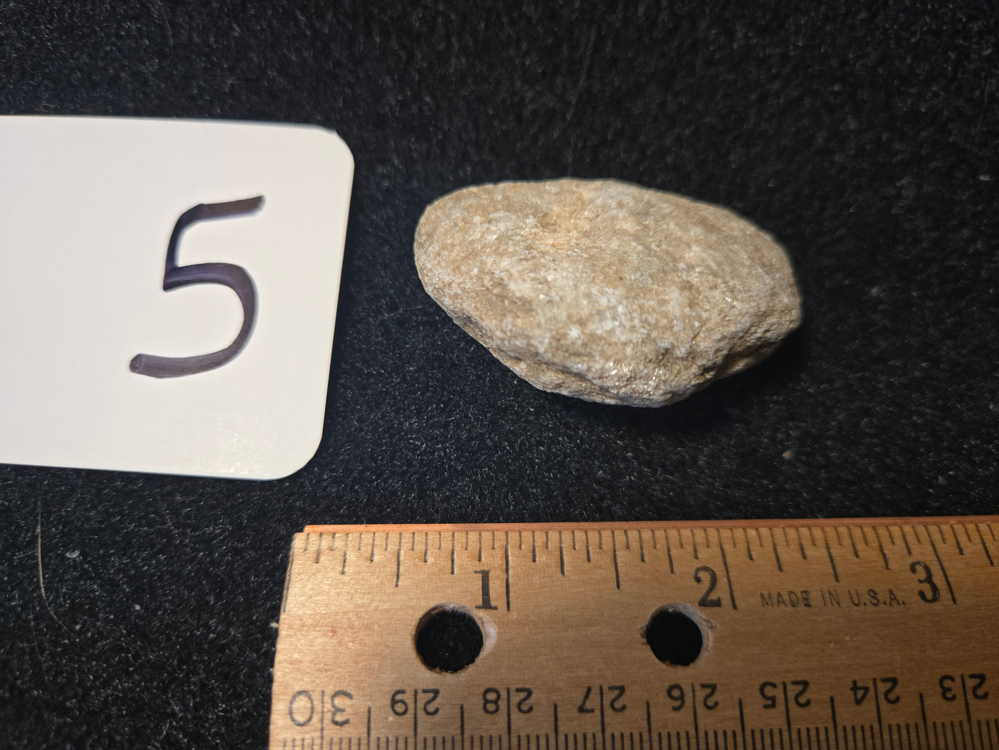 Micaceous Schist with Muscovite and quartz