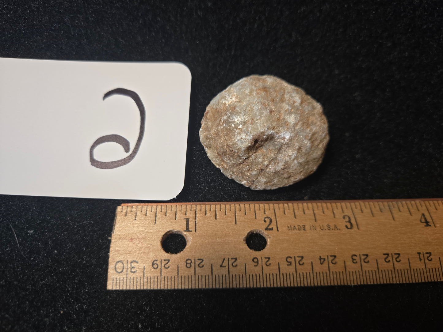 Micaceous Schist with Muscovite and quartz
