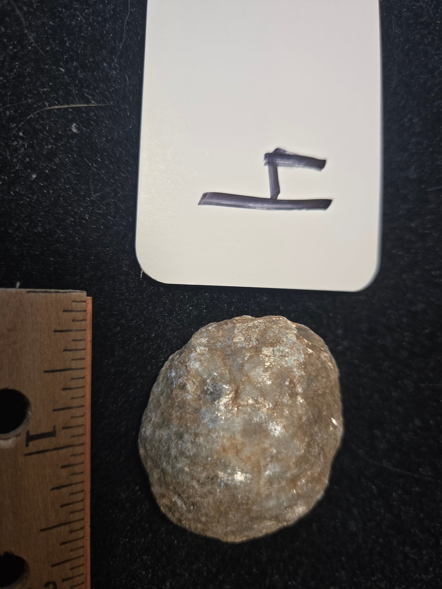 Micaceous Schist with Muscovite and quartz