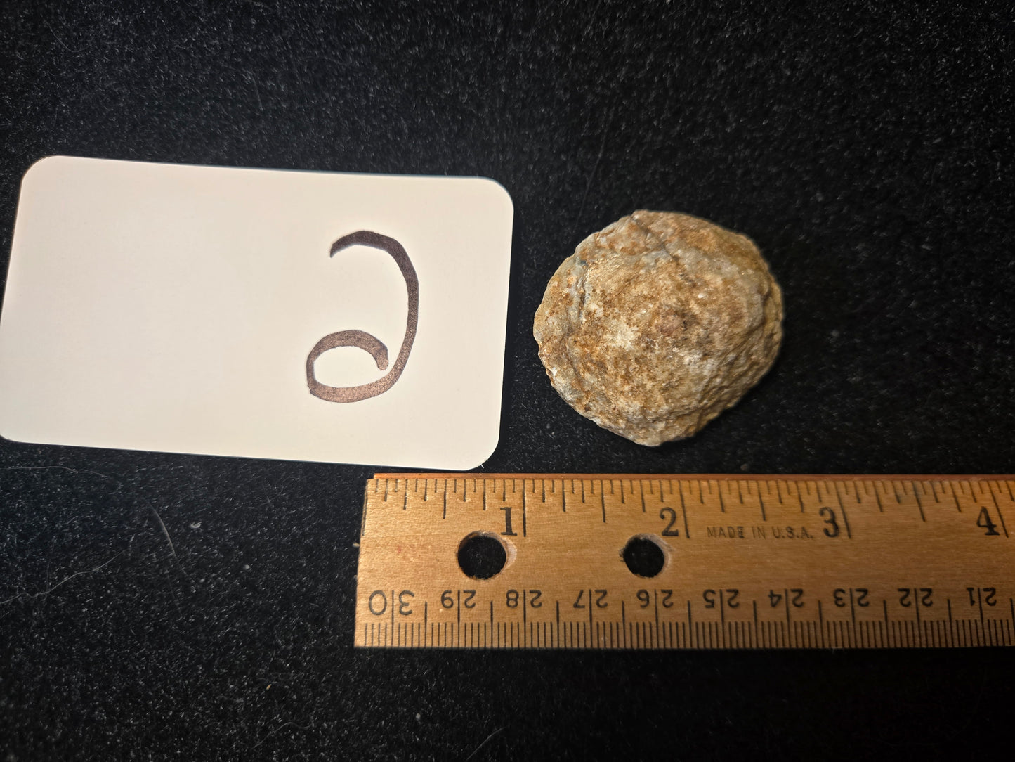 Micaceous Schist with Muscovite and quartz