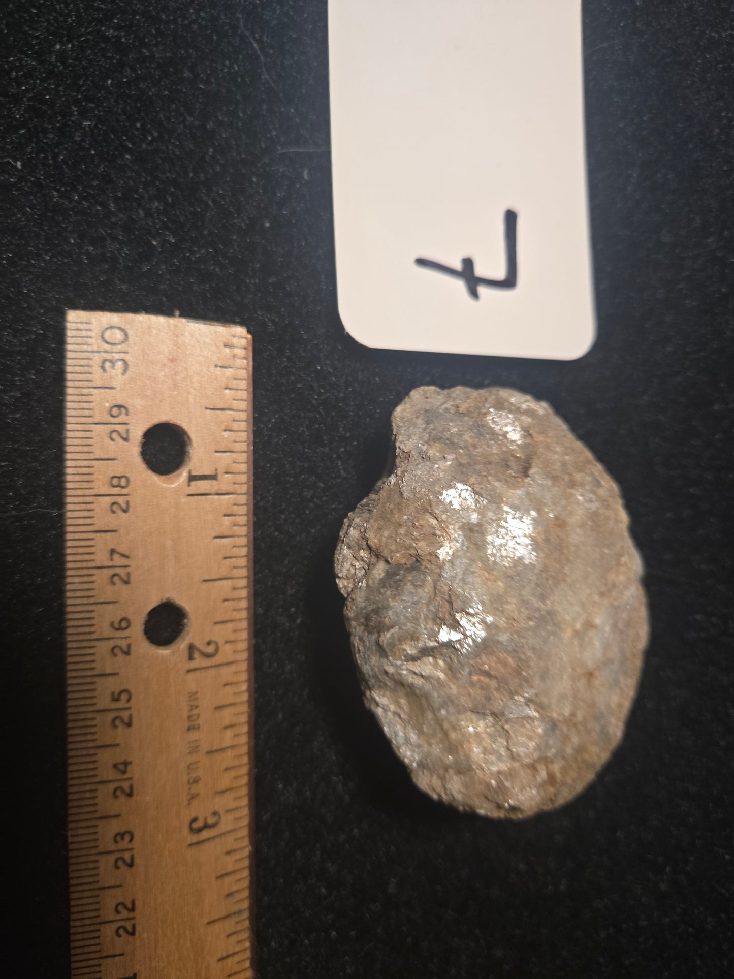 Micaceous Schist with Muscovite and quartz