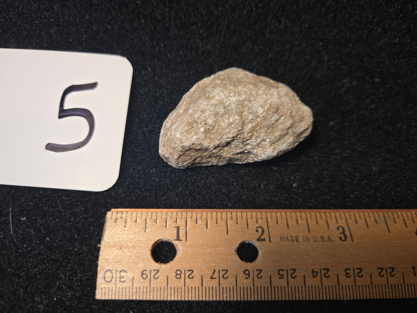 Micaceous Schist with Muscovite and quartz