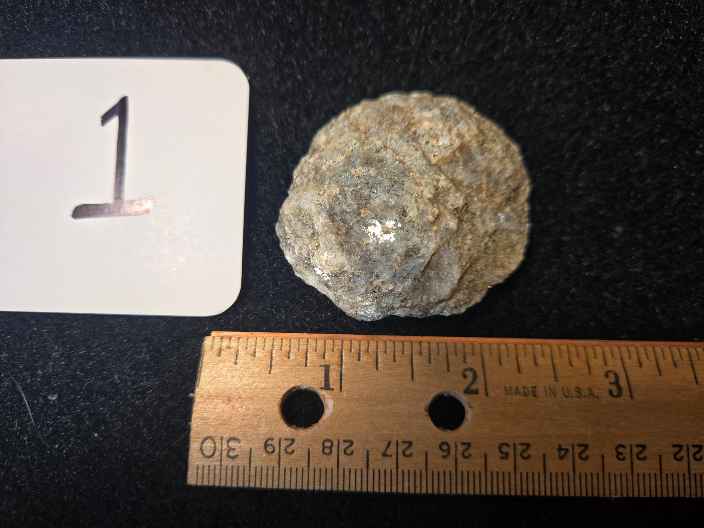 Micaceous Schist with Muscovite and quartz