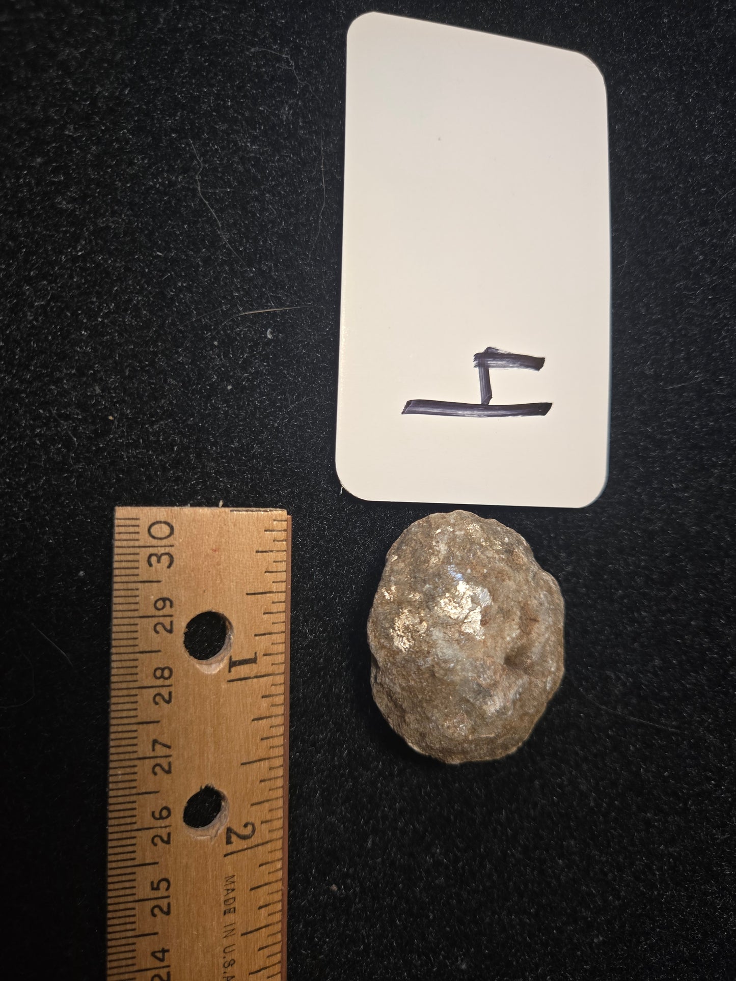 Micaceous Schist with Muscovite and quartz