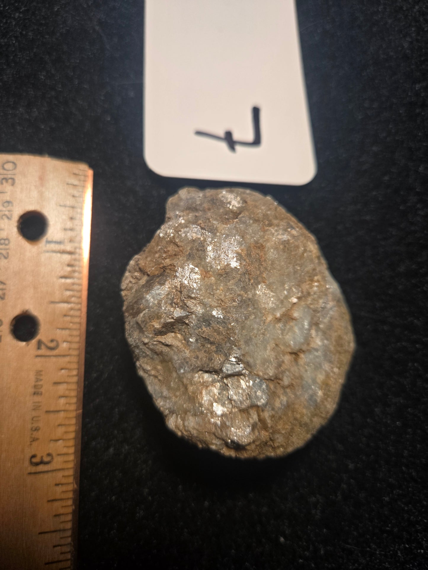 Micaceous Schist with Muscovite and quartz