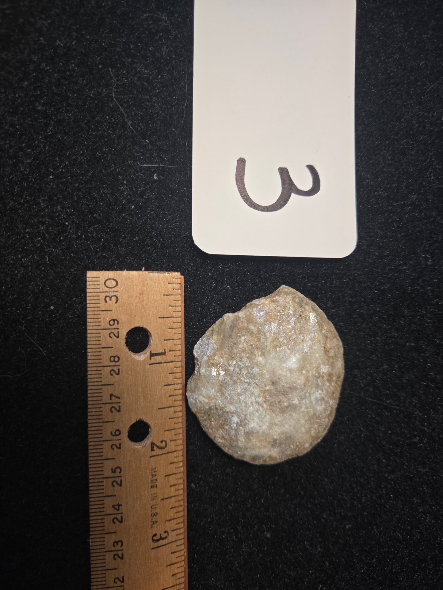 Micaceous Schist with Muscovite and quartz