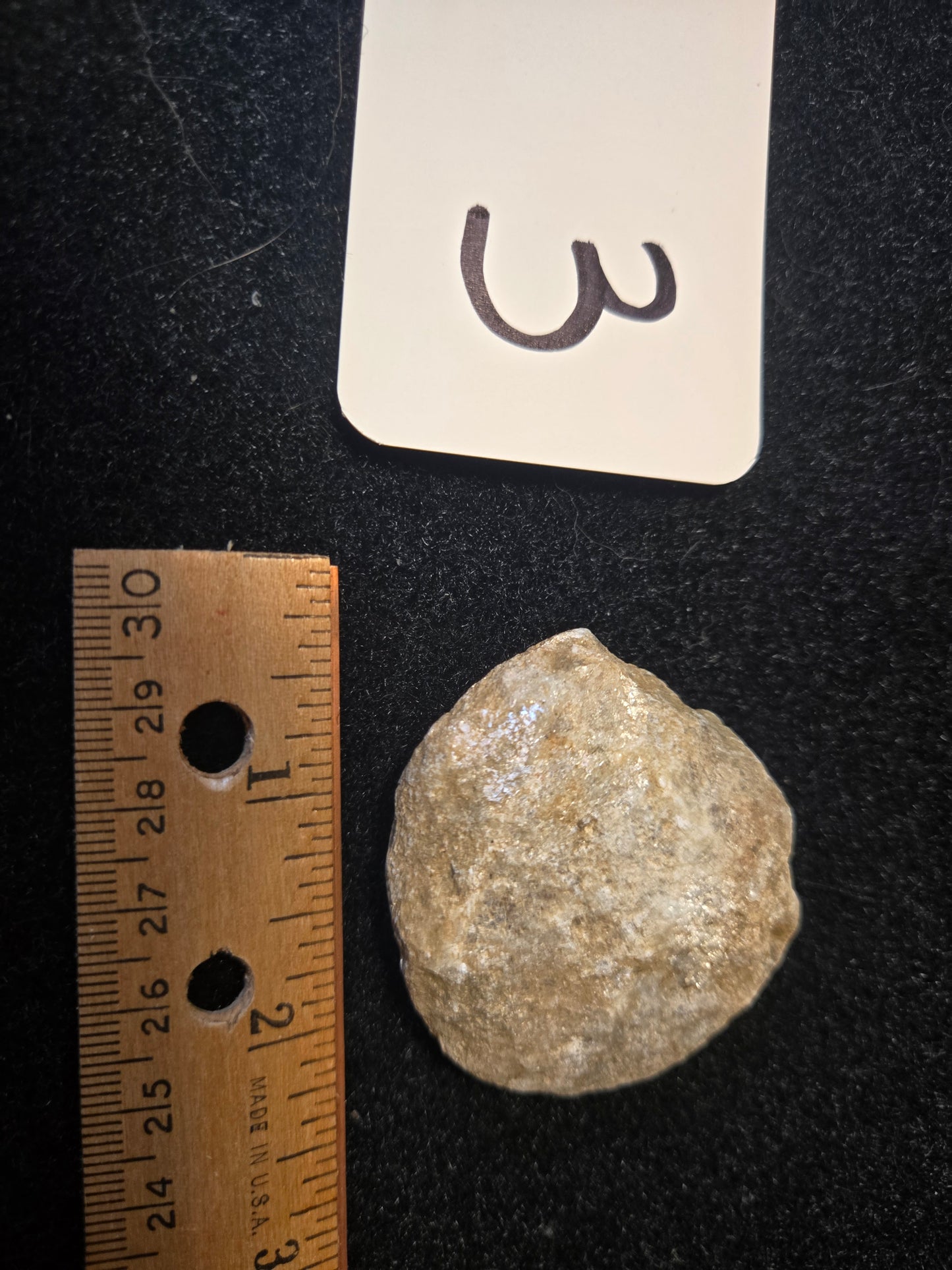 Micaceous Schist with Muscovite and quartz